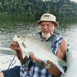 Meet your Posher, Gordon